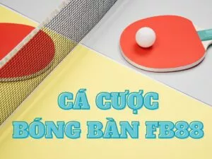 huong dan ca cuoc bong ban fb88