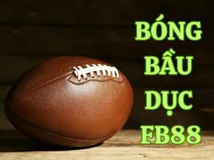 huong dan ca cuoc bong duc fb88