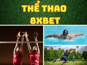 the thao 8xbet