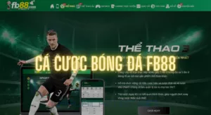 hướng dẫn cá cược bóng đá fb88