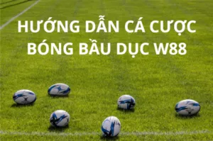hướng dẫn cá cược bóng bầu dục w88 cực dễ hiểu