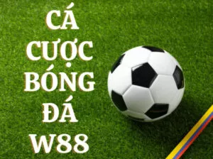 hướng dẫn cách chơi cá cược bóng đá w88 đơn giản nhất