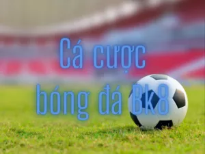 ca cuoc bong da bk8
