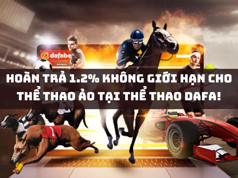 hoan tra the thao ao dafa.jpg